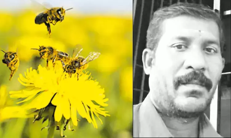 மலைத் தேனீக்கள் கொட்டியதில் ஒருவர் பலி -... ... இன்றைய முக்கியச் செய்திகள்.. சில வரிகளில்.. 18-09-2025 மலைத் தேனீக்கள் கொட்டியதில் ஒருவர் பலி -... ... இன்றைய முக்கியச் செய்திகள்.. சில வரிகளில்.. 18-09-2025