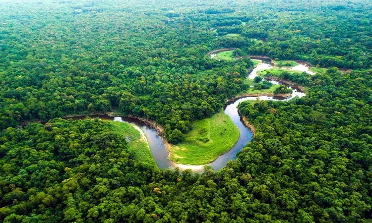  அமேசான் காடுகள் அழிப்புக்கு எதிராக குரல் எழுப்பிய... ... இன்றைய முக்கியச் செய்திகள்.. சில வரிகளில்.. 18-09-2025