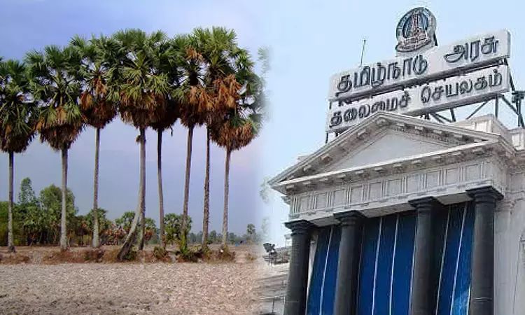 பனை மரம் வெட்ட கலெக்டர் அனுமதி கட்டாயம் - அரசாணை... ... இன்றைய முக்கியச் செய்திகள்.. சில வரிகளில்.. 18-09-2025