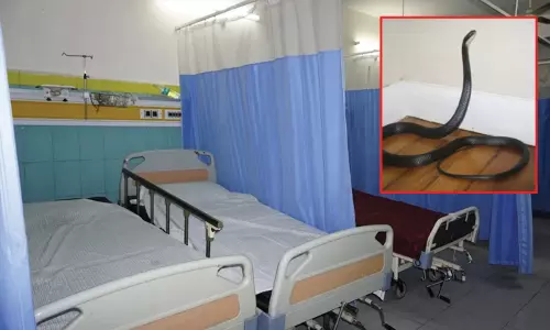 அறுவை சிகிச்சை அறைக்குள் திடீரென புகுந்த பாம்பு: டாக்டர்கள் ஓட்டம்; நோயாளி திகைப்பு