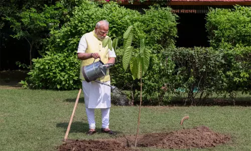 இங்கிலாந்து மன்னர் பரிசு: கடம்ப மரக்கன்றை நட்ட பிரதமர் மோடி