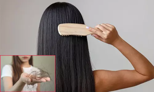 கொத்து கொத்தாக முடி கொட்டுகிறதா..? இதோ உங்களுக்கான சித்த மருத்துவ தீர்வுகள்