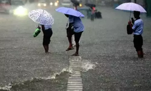 இரவு 7 மணி வரை 20 மாவட்டங்களில் மழைக்கு வாய்ப்பு இரவு 7 மணி வரை 20 மாவட்டங்களில் மழைக்கு வாய்ப்பு