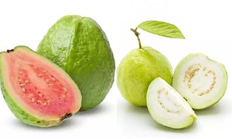 சிவப்பு, வெள்ளை.. எந்த கொய்யாப்பழம் சிறந்தது?