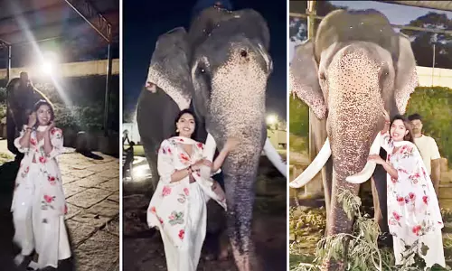 தசரா யானைகளுடன் ‘ரீல்ஸ்’ வீடியோ எடுத்த இன்ஸ்டா பிரபலம் மீது வழக்குப்பதிவு
