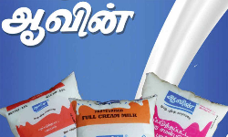 நெய் பொருட்களுக்கு தள்ளுபடியை அறிவித்தது ஆவின்