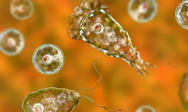 கேரளாவில் மேலும் ஒரு சிறுவனுக்கு அமீபா மூளைக்காய்ச்சல் பாதிப்பு