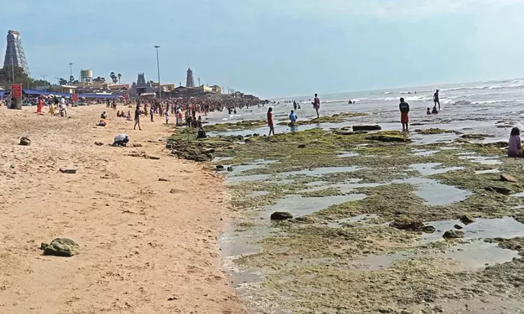 திருச்செந்தூரில் திடீரென உள்வாங்கிய கடல்