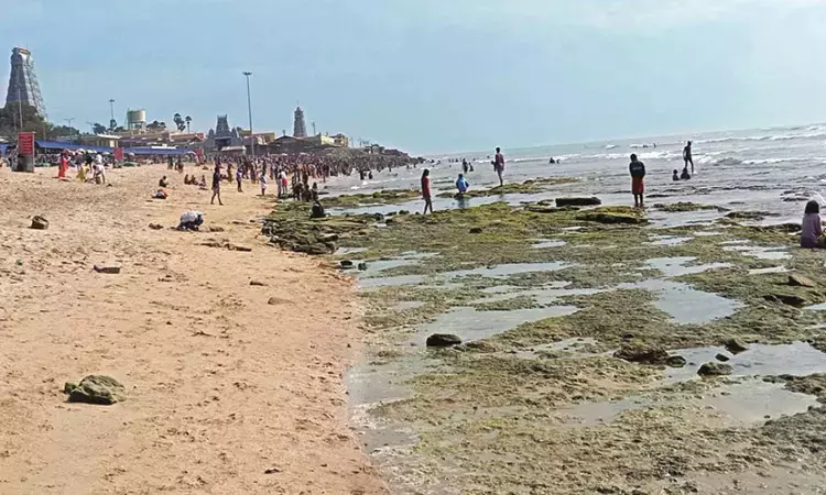 திருச்செந்தூரில் திடீரென உள்வாங்கிய கடல்அமாவாசை... ... இன்றைய முக்கிய செய்திகள் சில வரிகளில்.. 22-09-2025