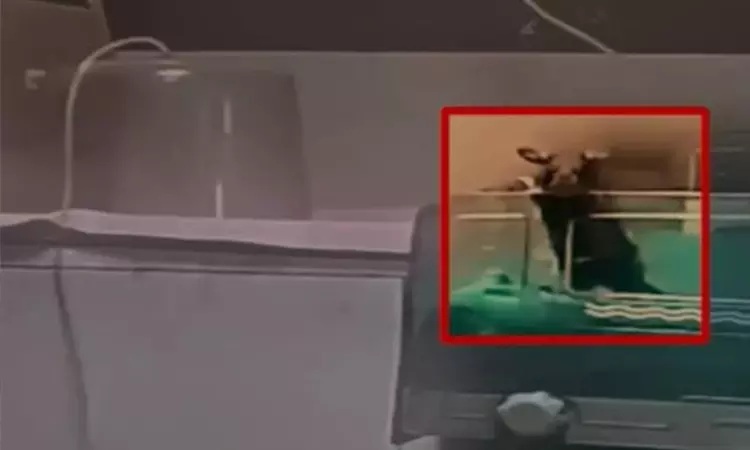 இந்தியாவின் தூய்மையான நகரில்... எலி கடித்து 2... ... இன்றைய முக்கிய செய்திகள் சில வரிகளில்.. 22-09-2025