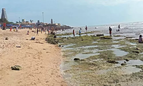 திருச்செந்தூரில் திடீரென உள்வாங்கிய கடல் திருச்செந்தூரில் திடீரென உள்வாங்கிய கடல்