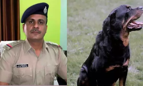 வளர்ப்பு நாயின் நகக் கீறல்; ரேபிஸ் தாக்கி காவல் ஆய்வாளர் உயிரிழப்பு வளர்ப்பு நாயின் நகக் கீறல்; ரேபிஸ் தாக்கி காவல் ஆய்வாளர் உயிரிழப்பு