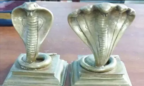 கேரளா: மீனவர் வலையில் சிக்கிய 2 நாக சிலைகள்