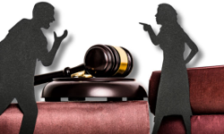 செல்ல பிராணிகளுக்குள் சண்டை - விவாகரத்துகோரிய தம்பதி