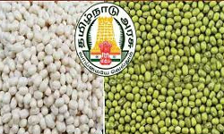 உளுந்து, பச்சை பயறுக்கு குறைந்தபட்ச ஆதரவு விலை நிர்ணயம்