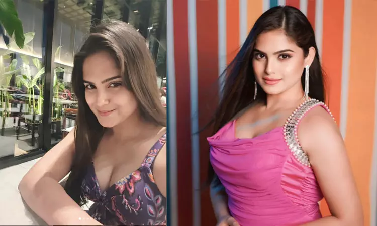 நடன இயக்குனர் கைகளில் நான் நரகத்தை கண்டேன் - நடிகை நைனா கங்குலி