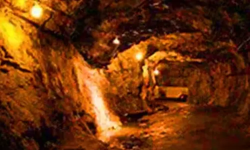 கொலம்பியாவில் தங்க சுரங்கம் இடிந்து விழுந்தது: 20 தொழிலாளர்களின் கதி என்ன?