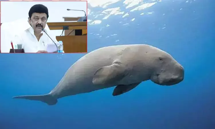 தமிழ்நாட்டில் அமையும் இந்தியாவின் முதல் கடற்பசுப்... ... இன்றைய முக்கிய செய்திகள் சில வரிகளில்.. 25-09-2025