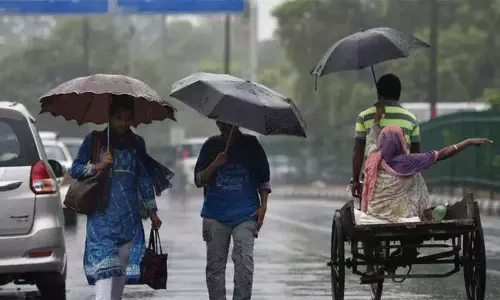 3 மாவட்டங்களில் மதியம் 1 மணி வரை மழைக்கு வாய்ப்பு 3 மாவட்டங்களில் மதியம் 1 மணி வரை மழைக்கு வாய்ப்பு