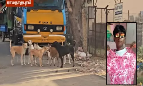ராமநாதபுரத்தில் தெருநாய் கடித்ததால் ரேபிஸ் தாக்கி 17 வயது சிறுவன் உயிரிழப்பு ராமநாதபுரத்தில் தெருநாய் கடித்ததால் ரேபிஸ் தாக்கி 17 வயது சிறுவன் உயிரிழப்பு