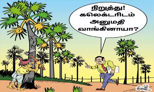 பனை மரங்களை வெட்ட தடை பனை மரங்களை வெட்ட தடை