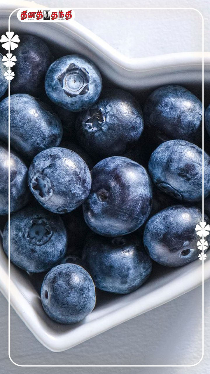 விலை அதிகம் தான்..பலனும் பல மடங்கு அதிகம்..! விலை அதிகம் தான்..பலனும் பல மடங்கு அதிகம்..!