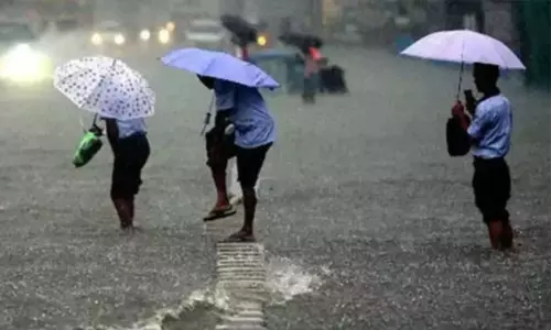 இரவு 7 மணி வரை 17 மாவட்டங்களில் மழைக்கு வாய்ப்பு இரவு 7 மணி வரை 17 மாவட்டங்களில் மழைக்கு வாய்ப்பு