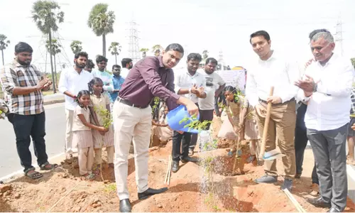 தூய்மை இந்தியா திட்டத்தில் மரக்கன்று நடும் விழா: தூத்துக்குடி கலெக்டர் துவக்கி வைத்தார்