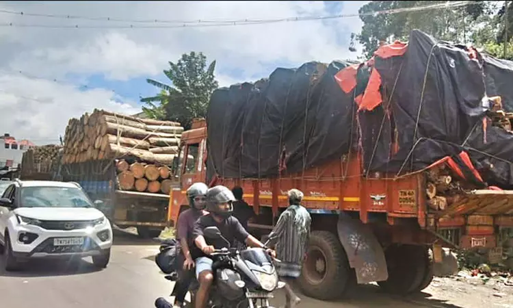 சாலையோரம் அணிவகுத்து நிற்கும் லாரிகள்: கொடைக்கானல் மலைப்பாதையில் போக்குவரத்து பாதிப்பு