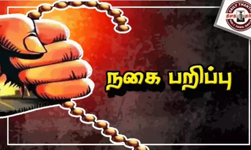 இளம்பெண்ணிடம் தங்கச் சங்கிலி பறிப்பு: வடமாநில வாலிபர்கள் கைது