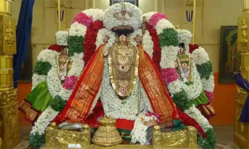 புரட்டாசி 2-வது சனிக்கிழமை: திருவந்திபுரம் தேவநாதசாமி கோவிலில் சிறப்பு பூஜை