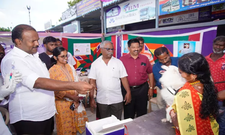 தூத்துக்குடியில் நாய்களுக்கு தடுப்பூசி போடும் பணி: மேயர் ஜெகன் பெரியசாமி துவக்கி வைத்தார்