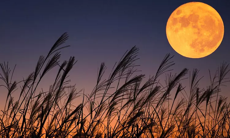 துருப்பிடித்து வரும் நிலவு; எல்லாவற்றிற்கும் காரணம்... விஞ்ஞானிகள் அதிர்ச்சி தகவல்