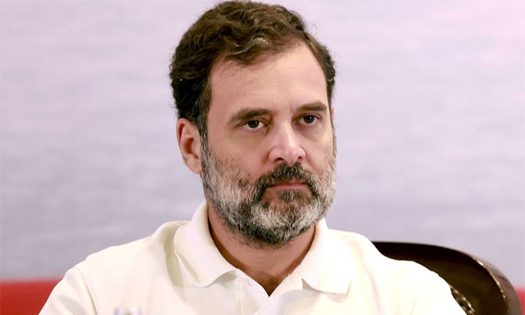 விஜய்யை தொலைபேசியில் தொடர்பு கொண்டு பேசிய ராகுல் காந்தி