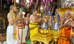 திருப்பதி: பிரம்மோற்சவத்தின் 7ம் நாள்;  மலையப்ப சாமிக்கு சிறப்பு திருமஞ்சனம்
