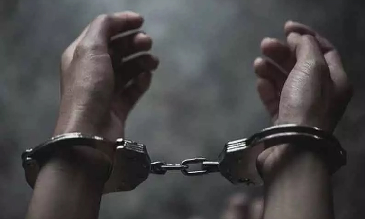 கோவில்களின் பெயரில் போலி இணையதளம்; தெலுங்கானாவை சேர்ந்த 2 பேர் கைது