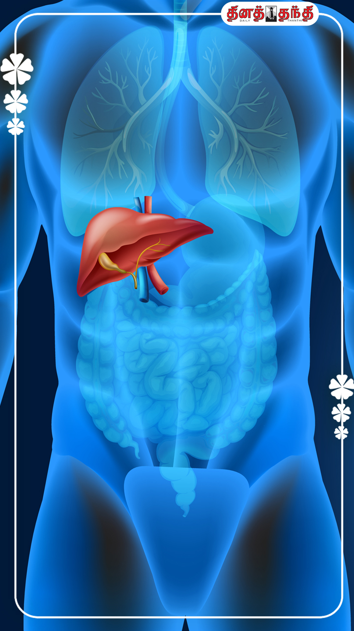 கல்லீரல் நோய்; அறிகுறிகள்.. தற்காப்பு முறைகள்! கல்லீரல் நோய்; அறிகுறிகள்.. தற்காப்பு முறைகள்!
