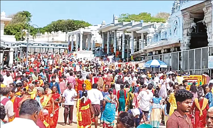 திருச்செந்தூர் கோவிலில் குவிந்த பக்தர்கள் - 5 மணிநேரம் காத்திருந்து சாமி தரிசனம் திருச்செந்தூர் கோவிலில் குவிந்த பக்தர்கள் - 5 மணிநேரம் காத்திருந்து சாமி தரிசனம்