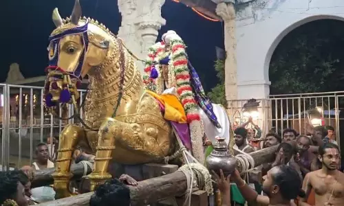 காஞ்சிபுரம் வரதராஜ பெருமாள் கோவிலில் வன்னி மர பார் வேட்டை உற்சவம்