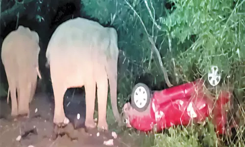 கேரளா:  காரை கவிழ்த்து, காலால் உதைத்து விளையாடிய காட்டு யானைகள்