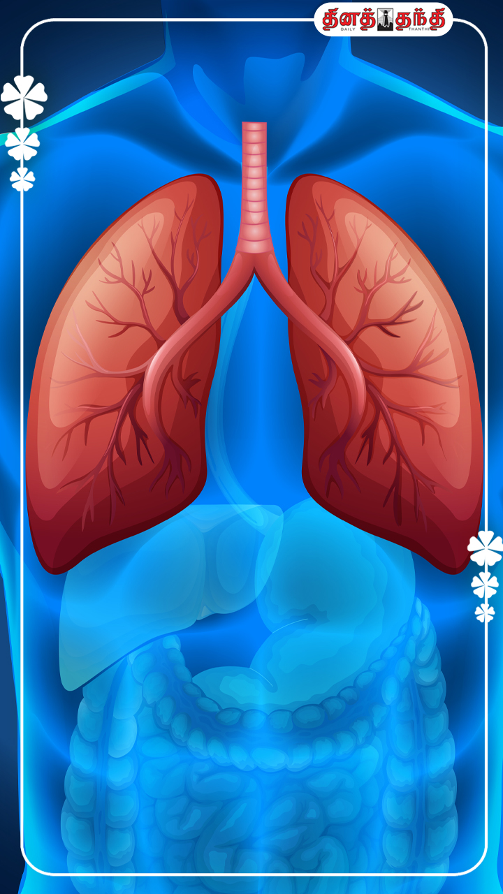 நுரையீரலை சுத்தம் செய்ய சாப்பிட வேண்டிய முக்கிய உணவுகள்! நுரையீரலை சுத்தம் செய்ய சாப்பிட வேண்டிய முக்கிய உணவுகள்!