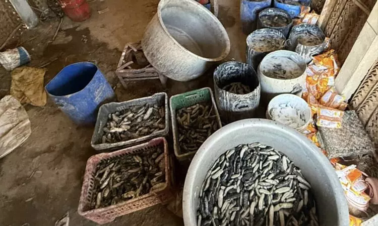 ராமநாதபுரம் அருகே அரசால் தடை செய்யப்பட்ட 250 கிலோ கடல் அட்டைகள் பறிமுதல்