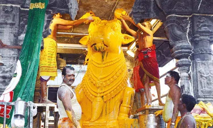 சிவன் கோவில்களில் சனி பிரதோஷ விழா: நந்திக்கு மகா அபிஷேகம்.. திரளான பக்தர்கள் தரிசனம் சிவன் கோவில்களில் சனி பிரதோஷ விழா: நந்திக்கு மகா அபிஷேகம்.. திரளான பக்தர்கள் தரிசனம்