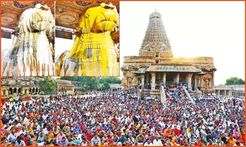 சிவன் கோவில்களில் சனி பிரதோஷ விழா: நந்திக்கு மகா அபிஷேகம்.. திரளான பக்தர்கள் தரிசனம் சிவன் கோவில்களில் சனி பிரதோஷ விழா: நந்திக்கு மகா அபிஷேகம்.. திரளான பக்தர்கள் தரிசனம்