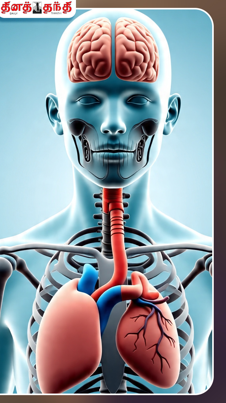 நீங்கள் அறிந்திராத மனித உடல் பற்றிய தகவல்கள்! நீங்கள் அறிந்திராத மனித உடல் பற்றிய தகவல்கள்!
