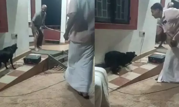 தெருநாய் கடி தொடர்பாக விழிப்புணர்வு நிகழ்ச்சி நடத்தியவரை கடித்த தெருநாய்