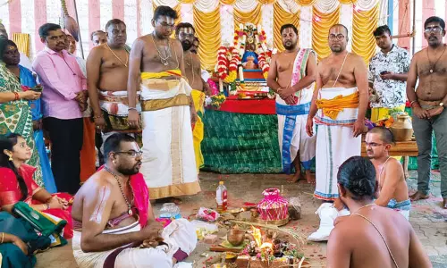 குருவித்துறை பெருமாள் கோவிலில் திருக்கல்யாண வைபவம் குருவித்துறை பெருமாள் கோவிலில் திருக்கல்யாண வைபவம்