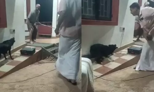 தெருநாய் கடி தொடர்பாக விழிப்புணர்வு நிகழ்ச்சி நடத்தியவரை கடித்த தெருநாய்