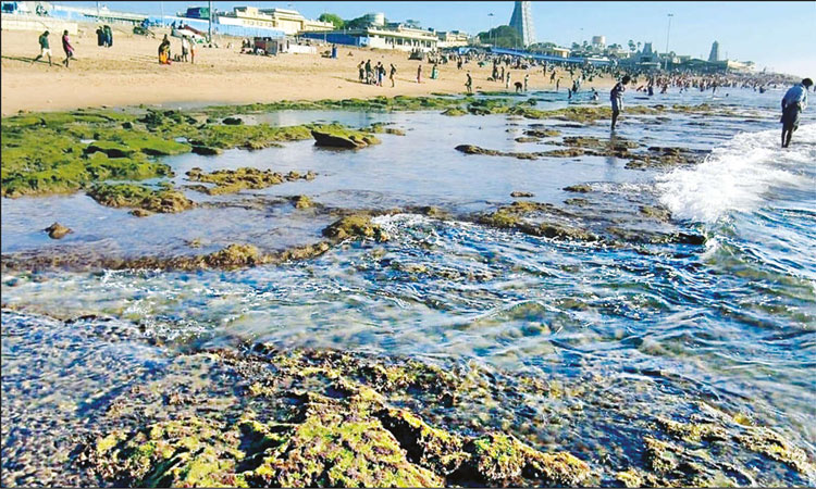 திருச்செந்தூரில் 2-வது நாளாக உள்வாங்கிய கடல்