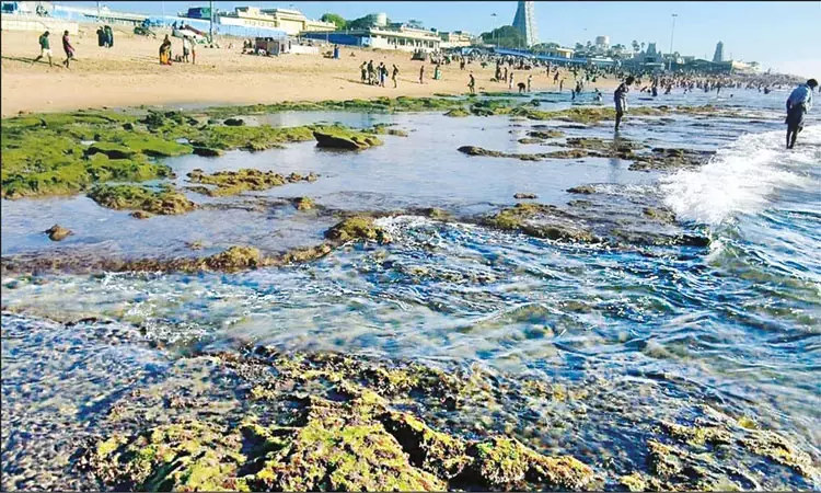 திருச்செந்தூரில் 2-வது நாளாக உள்வாங்கிய... ... இன்றைய முக்கிய செய்திகள்.. சில வரிகளில்.. 07-10-2025